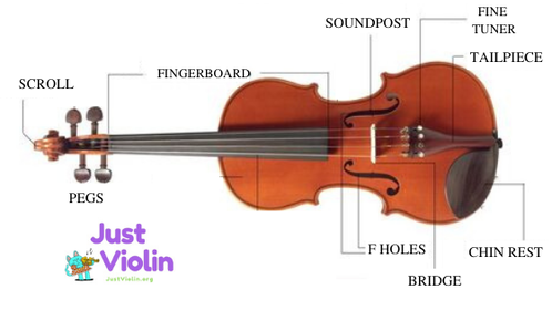 parts of violin